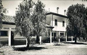 Telagh 30- ecole de filles